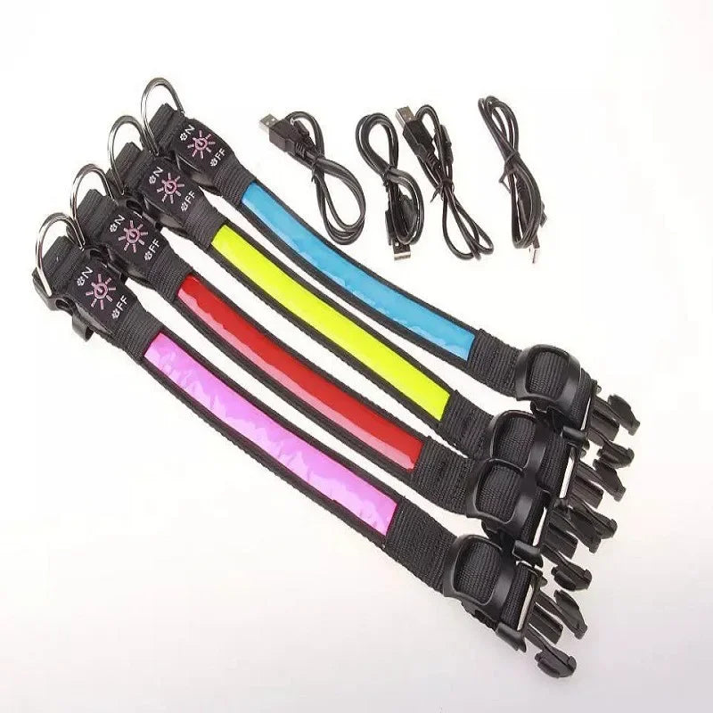LED Glowing Dog Collar – USB Rechargeable Flashing Light