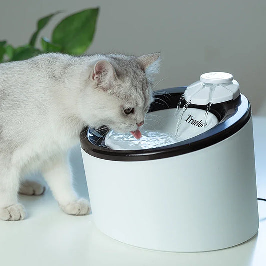 Truelove Automatic Pet Water Fountain NZ | USB Electric Mute Water Drinker for Cats & Dogs – PawNest