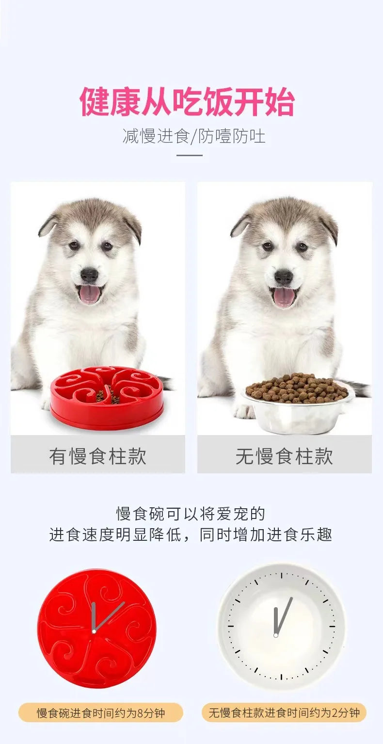 Eco-Friendly Slow Feeder Dog Bowl NZ | Non-Slip Anti-Gulping Slow Feeding Bowl for Large, Medium & Small Dogs – PawNest