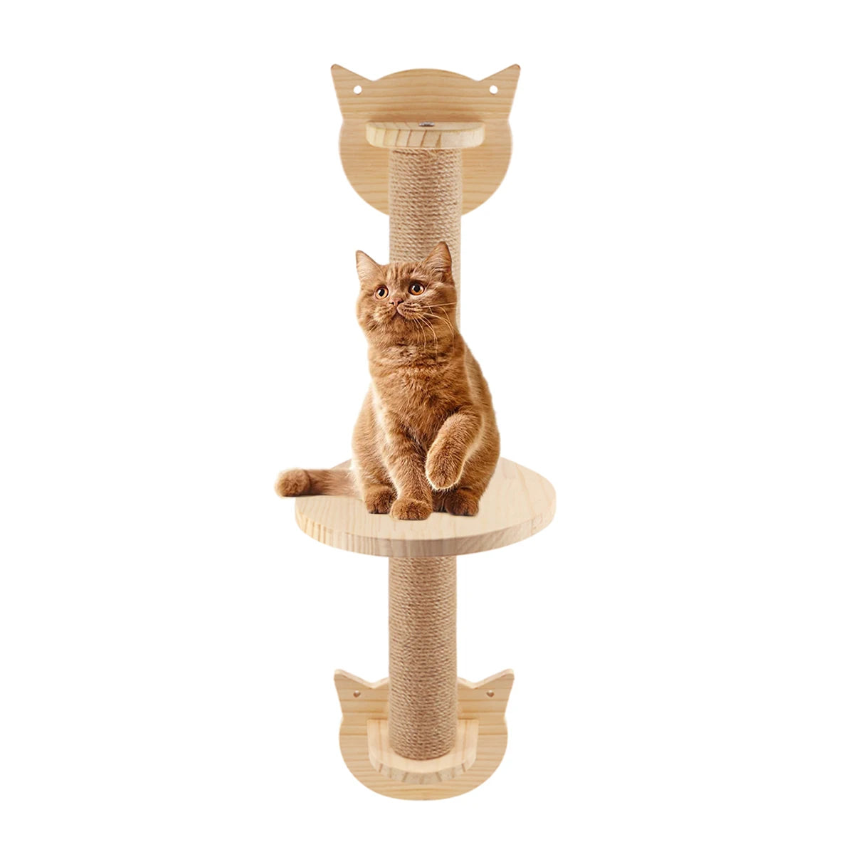 Cat Climbing Shelf Furniture NZ | Wall-Mounted Wooden Cat Shelves & Scratching Perches – PawNest