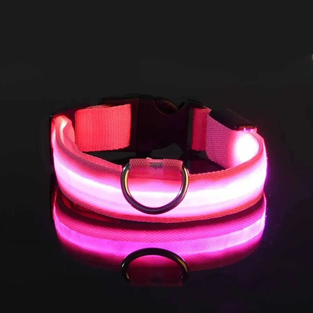 Light Up LED Dog Collar – Safety Flashing Glow Battery Collar