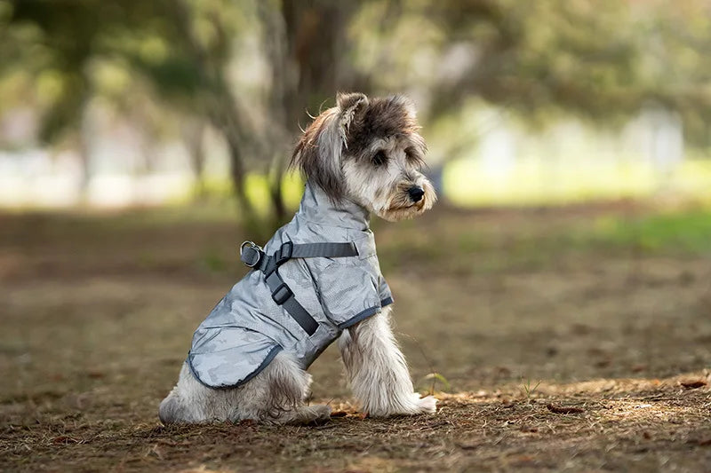 Reflective Waterproof Dog Raincoat NZ | Outdoor Spring Hoodie for Small & Medium Dogs – Rain Protection & Safety