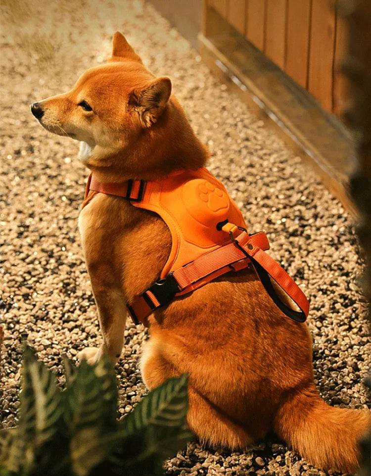 Breathable Explosion-Proof Dog Harness NZ | Adjustable Vest for Medium & Large Dogs Outdoor Training – PawNest