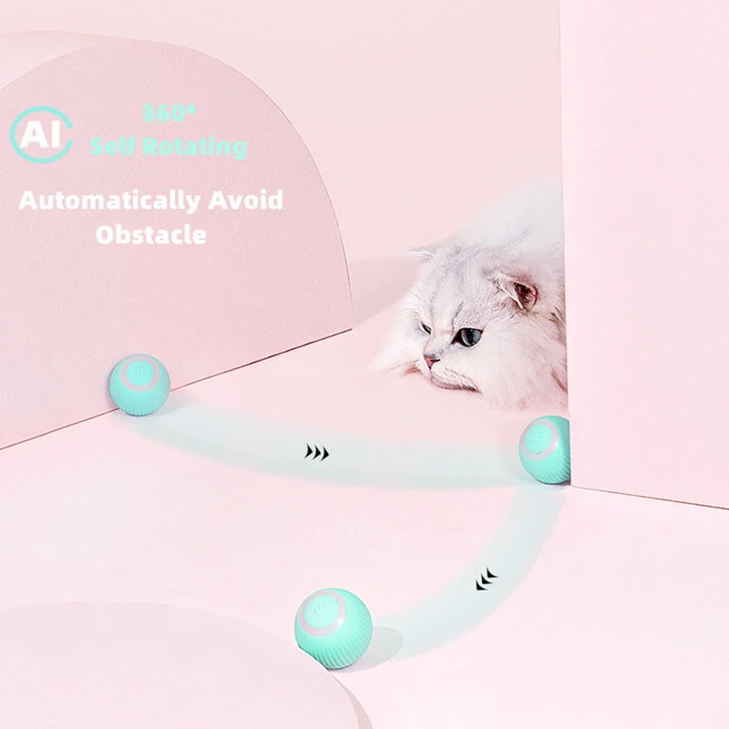 Electric Rolling Cat Ball Toy – Smart Interactive Cat Toy NZ | PawNest